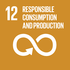 SDG 12 pack-it-eco