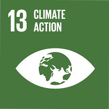SDG 13 pack-it-eco