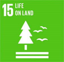 SDG 15 pack-it-eco