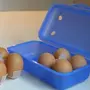 MeiBox Mehrweg-Eierbox für 8 Eier, Einsatz