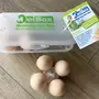 Standard MeiBox Mehrweg-Eierbox für 8 Eier
