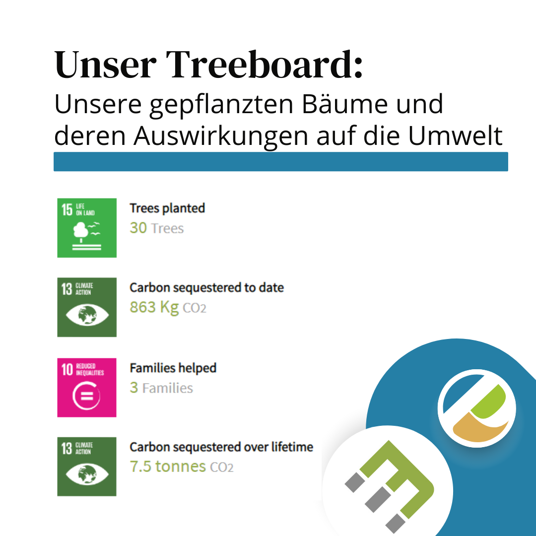 Treeboard Dezember Ecomatcher pack-it-eco