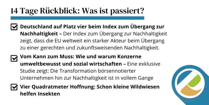 14 Tage Rückblick März 2 pack-it-eco